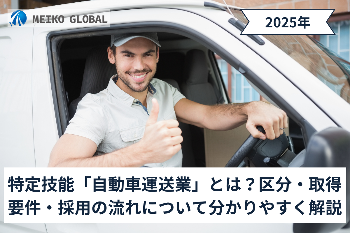 特定技能「自動車運送業」とは？区分・取得要件・採用の流れをわかりやすく解説